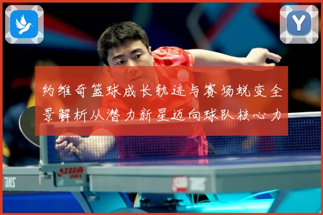 约维奇篮球成长轨迹与赛场蜕变全景解析从潜力新星迈向球队核心力量之路