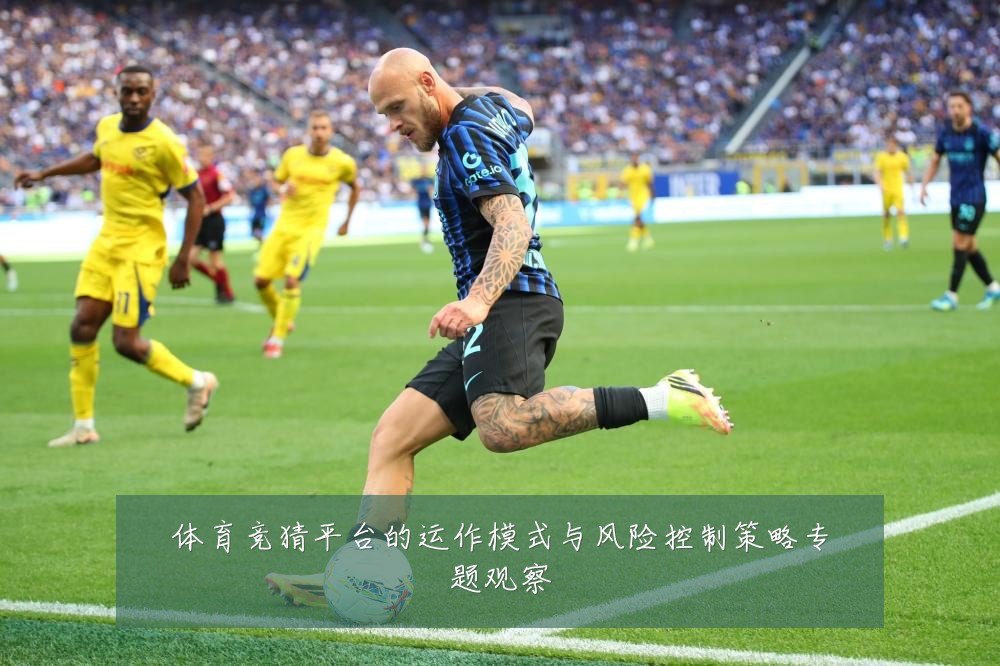 体育竞猜平台的运作模式与风险控制策略专题观察